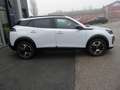 Peugeot 2008 PureTech 100 S&S Allure 6-Gang-Manuell Weiß - thumbnail 3