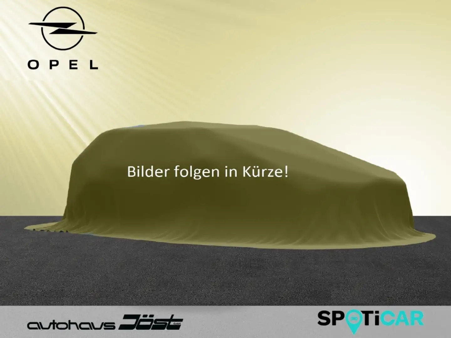 Opel Grandland INNOVATION 1.2 Turbo Grau - 2