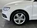 Audi Q5 2.0 TDI S-Line*PDC*Bi-Xenon* Wit - thumbnail 6