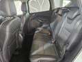 Ford Kuga 2.0 tdci Titanium 4wd s Bianco - thumbnail 14