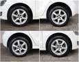Volkswagen Polo V Comfortline 1.2i KLIMA*ALU*GRA Weiß - thumbnail 11