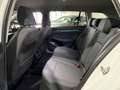 Volkswagen Golf VIII Variant 1.5 TSI Life*LED*Ahk*Acc* Blanco - thumbnail 23