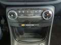 Ford Puma 1.0 EcoBoost MHEV Titanium Design 125 Blanco - thumbnail 19