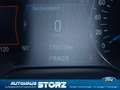 Ford Edge ST-Line 4x4 ALLRAD|AUTOMATIK|ACC|TECHNO PK|WINTER Schwarz - thumbnail 18