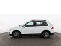 Volkswagen Tiguan 2.0 TDI Life LED 360-CAM RADAR NAVI SITZHZ Weiß - thumbnail 5