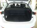 Skoda Scala Selection Wit - thumbnail 14