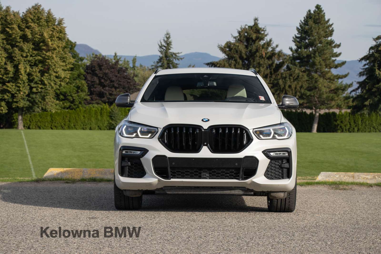 2020 BMW X6