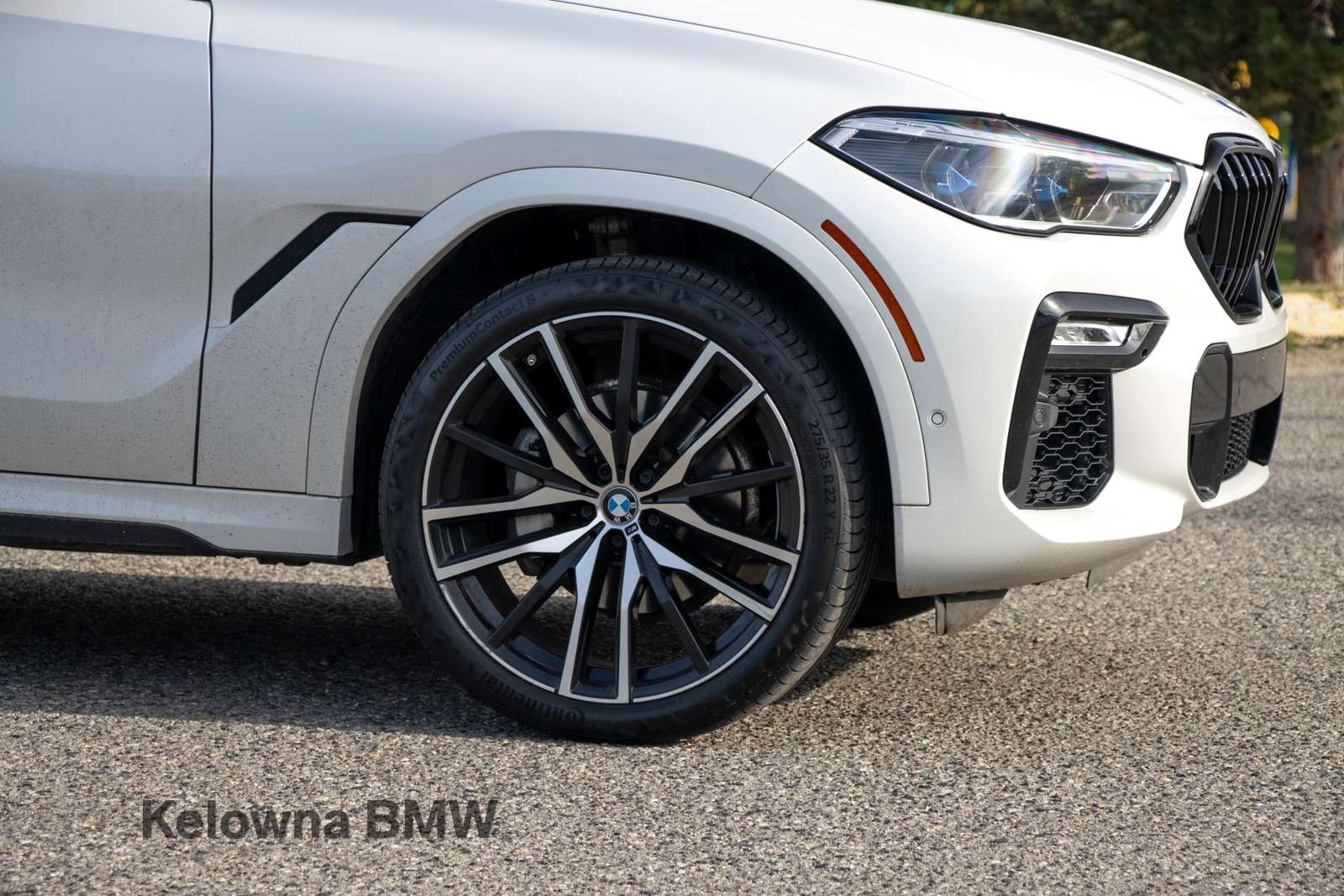 2020 BMW X6