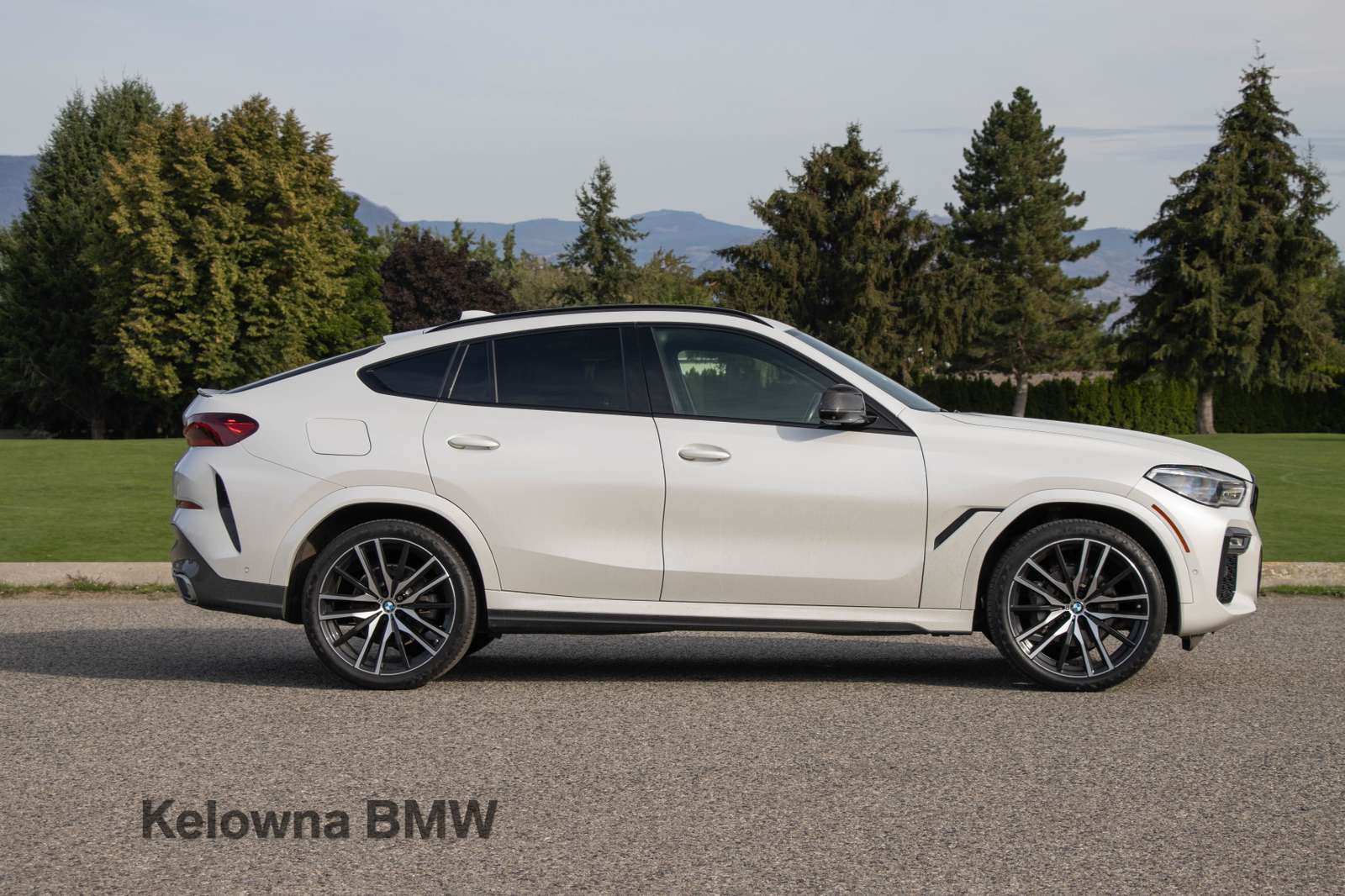 2020 BMW X6