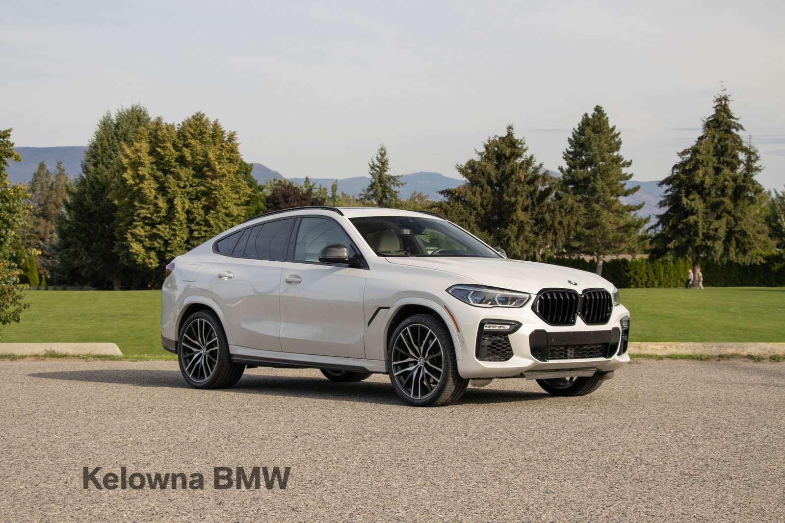 2020 BMW X6