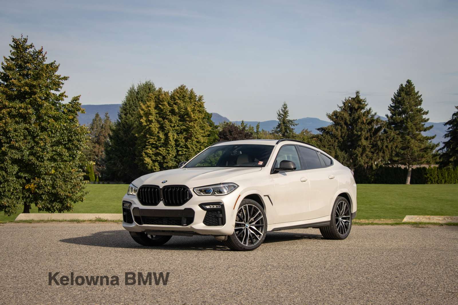 2020 BMW X6