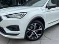 SEAT Tarraco 1.4 TSI e-Hybrid PHEV FR 245PK|Pano|Memory|Camera| Wit - thumbnail 26