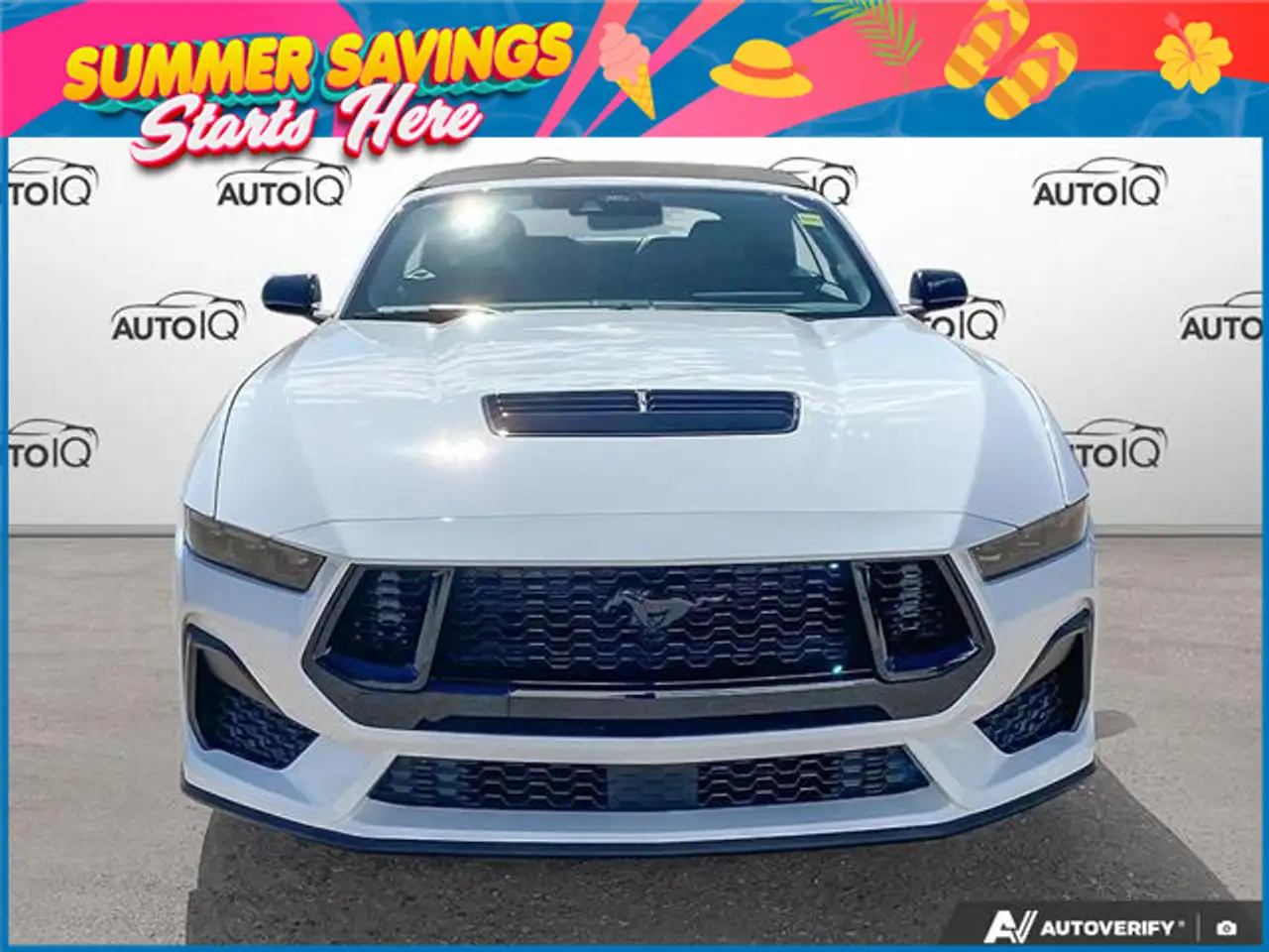Ford Mustang fotografie Ford Mustang