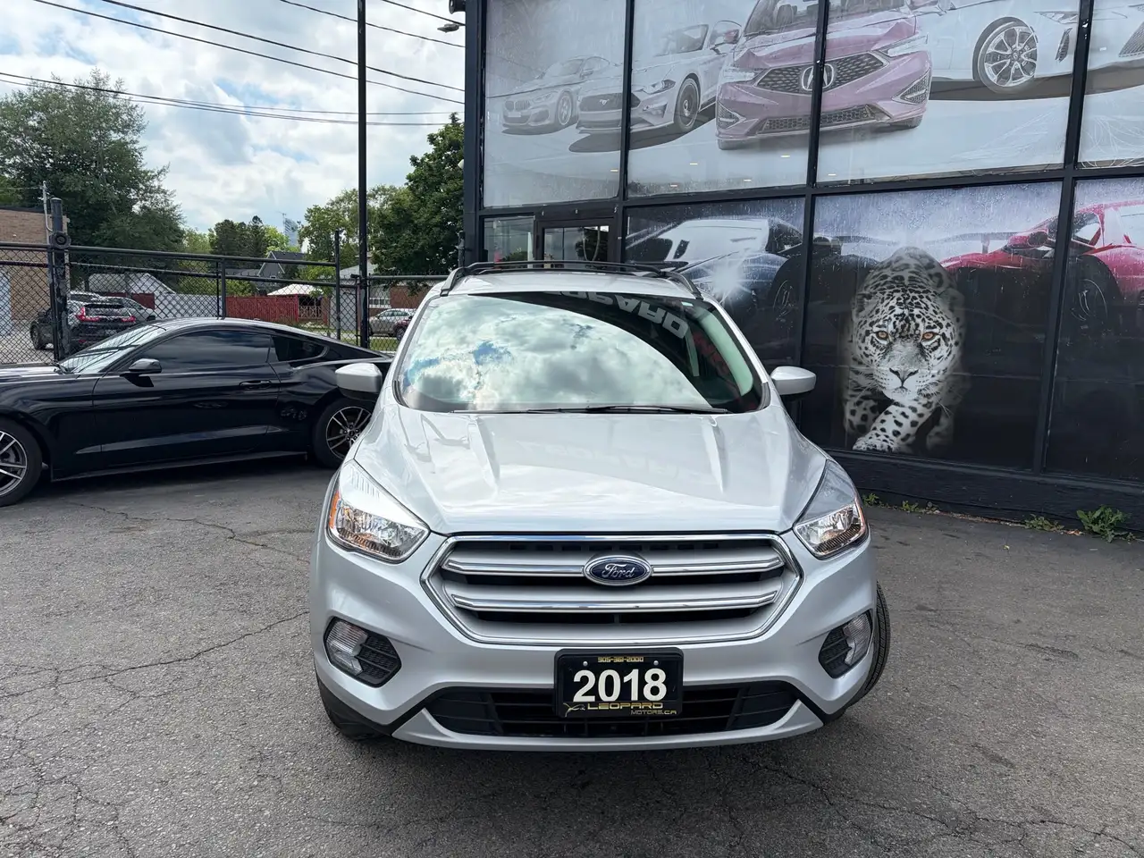 Ford Escape снимка Ford Escape