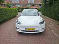 Tesla Model Y Long Range Dual Motor AWD - thumbnail 9