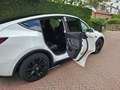 Tesla Model Y Long Range Dual Motor AWD - thumbnail 2