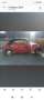 Volkswagen Beetle cabrio - thumbnail 5