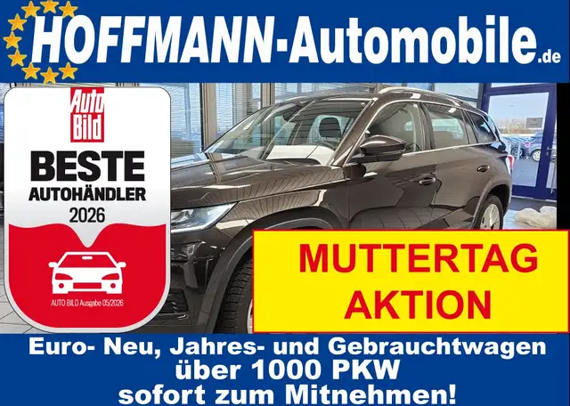 Skoda Kodiaq Style App-Connect,Sitzheizung,PDC,19 Zoll