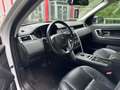 Land Rover Discovery Sport HSE*Kamera*Voll* Wit - thumbnail 17