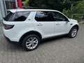 Land Rover Discovery Sport HSE*Kamera*Voll* Wit - thumbnail 4