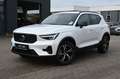 Volvo XC40 Plus Dark *ACC*BLIS*H&K*FSHZG*AHK* Weiß - thumbnail 1