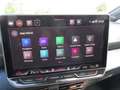 CUPRA Born Plus 58/61kWh Grau - thumbnail 9