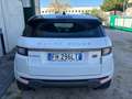 Land Rover Range Rover Evoque Range Rover Evoque I 2016 5p 2.0 td4 Pure 150cv Blanc - thumbnail 4