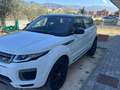 Land Rover Range Rover Evoque Range Rover Evoque I 2016 5p 2.0 td4 Pure 150cv Blanc - thumbnail 2
