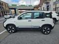 Fiat Panda Panda III  1.2  Cross s PREZZO REALE!!! Bianco - thumbnail 1