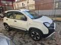 Fiat Panda Panda III  1.2  Cross s PREZZO REALE!!! Bianco - thumbnail 3
