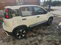 Fiat Panda Panda III  1.2  Cross s PREZZO REALE!!! Bianco - thumbnail 4