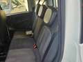 Fiat Panda Panda III  1.2  Cross s PREZZO REALE!!! Bianco - thumbnail 7