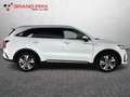 Kia Sorento 1.6 T-GDi PHEV AT6 4WD Business Bianco - thumbnail 6