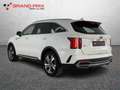 Kia Sorento 1.6 T-GDi PHEV AT6 4WD Business Bianco - thumbnail 4