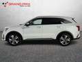 Kia Sorento 1.6 T-GDi PHEV AT6 4WD Business Bianco - thumbnail 7
