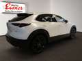 Mazda CX-30 G140 HOMURA BIG DEAL Blanc - thumbnail 13