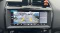 Jaguar F-Pace 2.0 Pure AWD 25t | Camera | Leder | Extra set band Grau - thumbnail 20