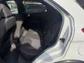 Ford Ka/Ka+ 1.5 TDCi 95 CV Start&Stop Active NEOPATENTATI Bianco - thumbnail 8