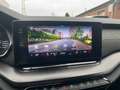 Skoda Octavia Combi Plus 4x4 2.0 TDI HUD Navi Kamera D - thumbnail 24