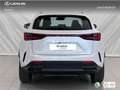 Lexus NX 350h Premium+ 2WD Blanco - thumbnail 4