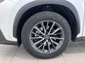Lexus NX 350h Premium+ 2WD Blanco - thumbnail 5