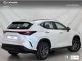 Lexus NX 350h Premium+ 2WD Blanco - thumbnail 3