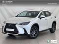 Lexus NX 350h Premium+ 2WD Blanco - thumbnail 1