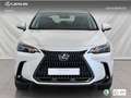 Lexus NX 350h Premium+ 2WD Blanco - thumbnail 2