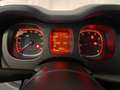 Fiat Panda 1.0 FireFly S&S Hybrid OK NEOPATENTATI Nero - thumbnail 7