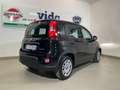 Fiat Panda 1.0 FireFly S&S Hybrid OK NEOPATENTATI Nero - thumbnail 14