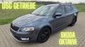Skoda Octavia Style Navi SHZ Wartung neu Grau - thumbnail 1
