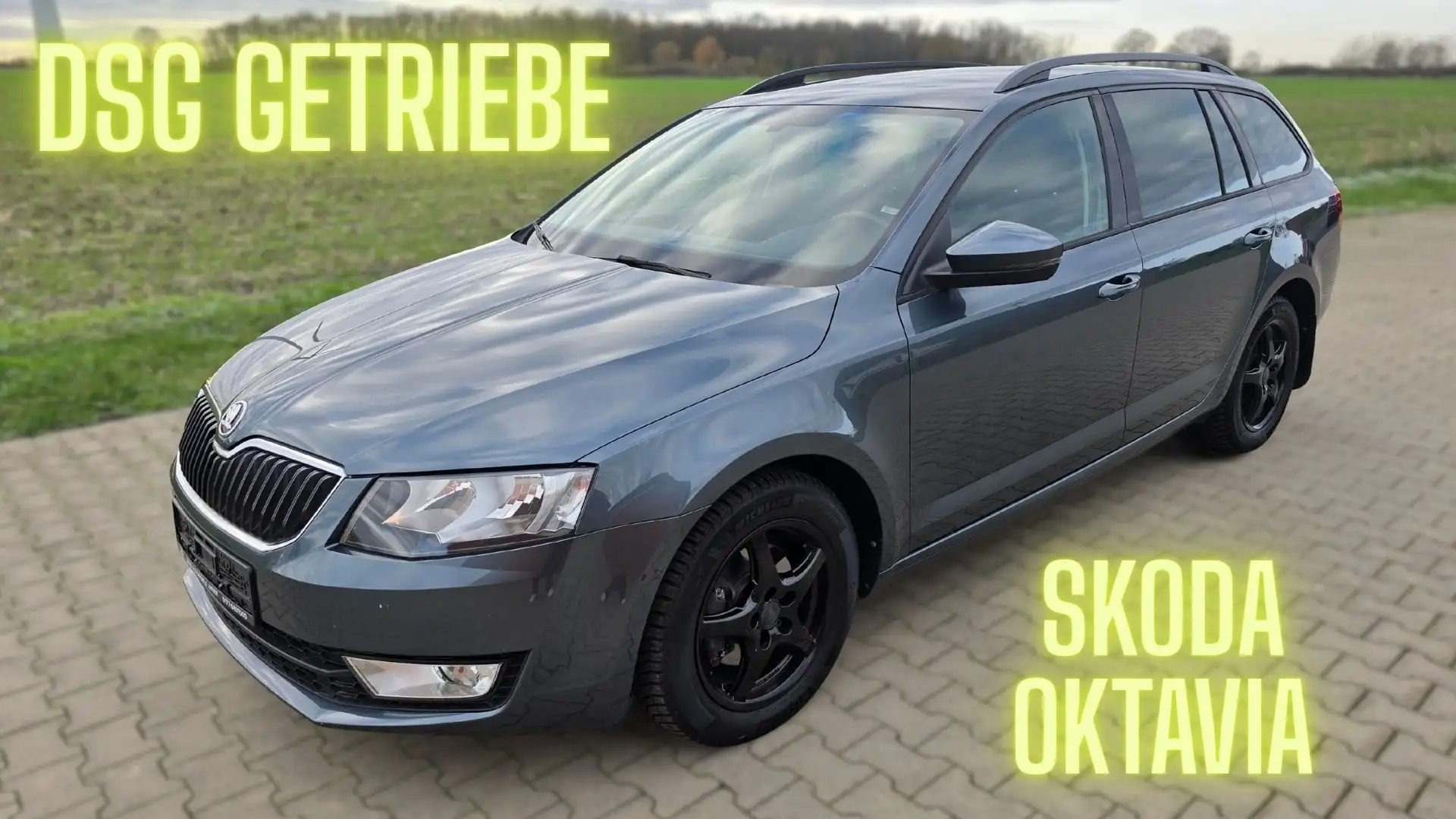 Skoda Octavia Style Navi SHZ Wartung neu Gris - 1