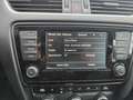 Skoda Octavia Style Navi SHZ Wartung neu Grau - thumbnail 23