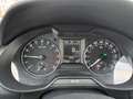 Skoda Octavia Style Navi SHZ Wartung neu Grau - thumbnail 36